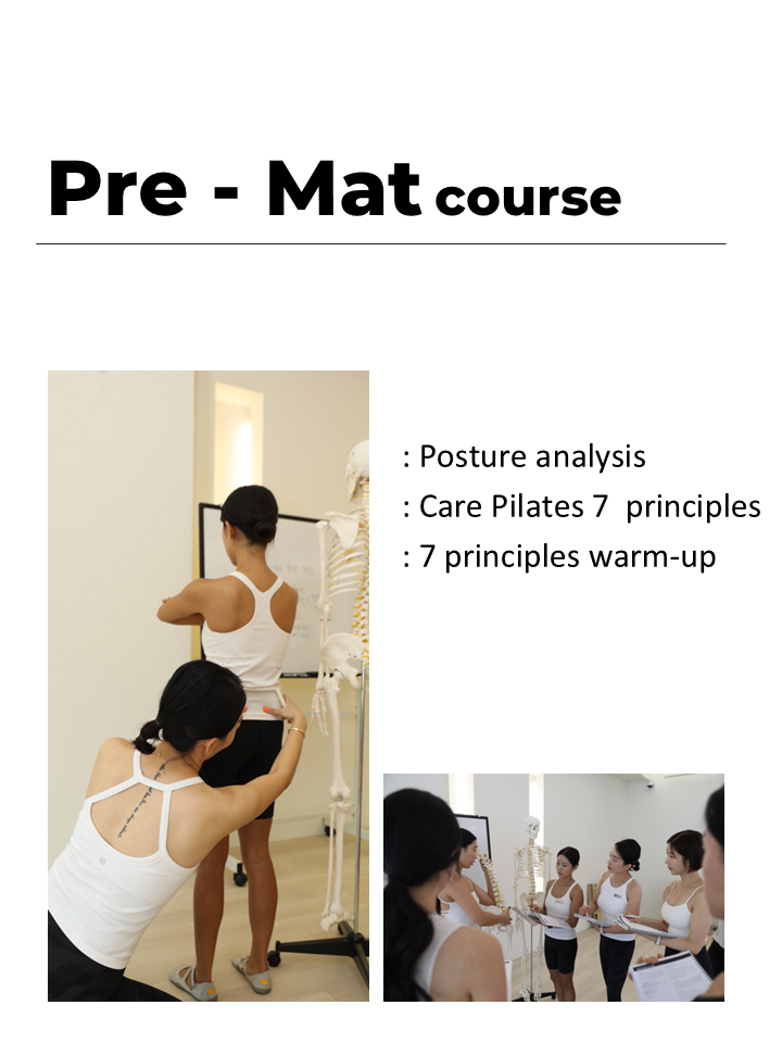 Pre Mat course